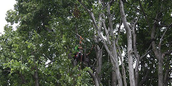 IMG_0759-veca.jpg