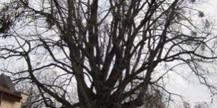 IMG_1897velika.jpg