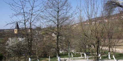 IMG_8060velika.jpg