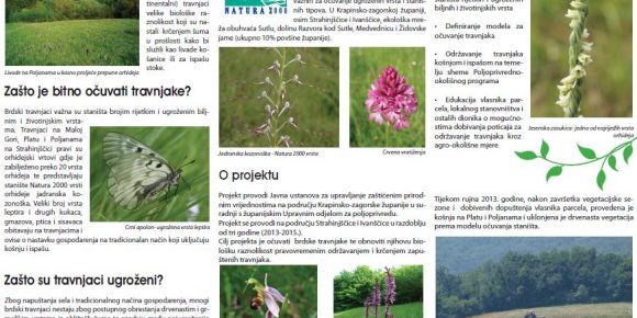 Letak-travnjaci-v.jpg