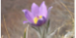 Slika1.png