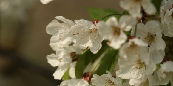 IMG_3988 vn