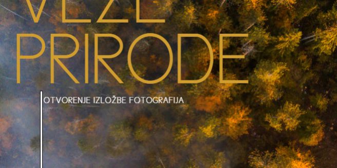 pozivnica
