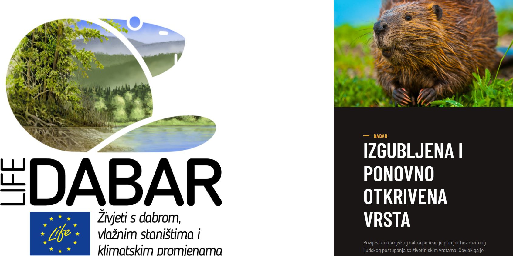 dabar web