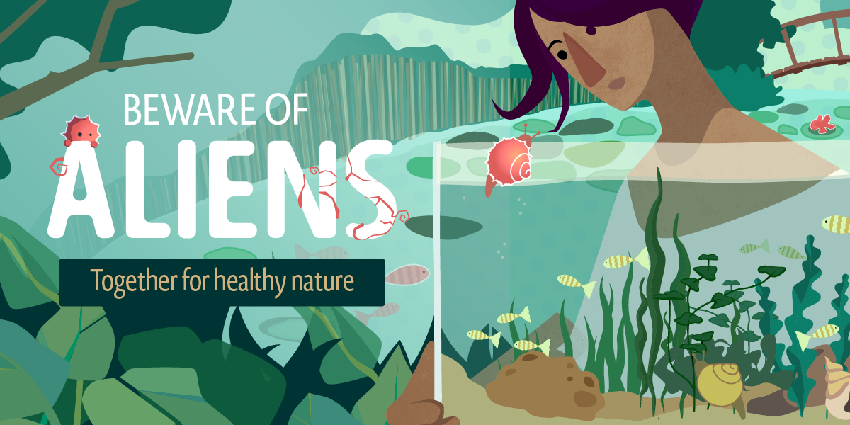 IAS-aquatic-ornamentals-facebook