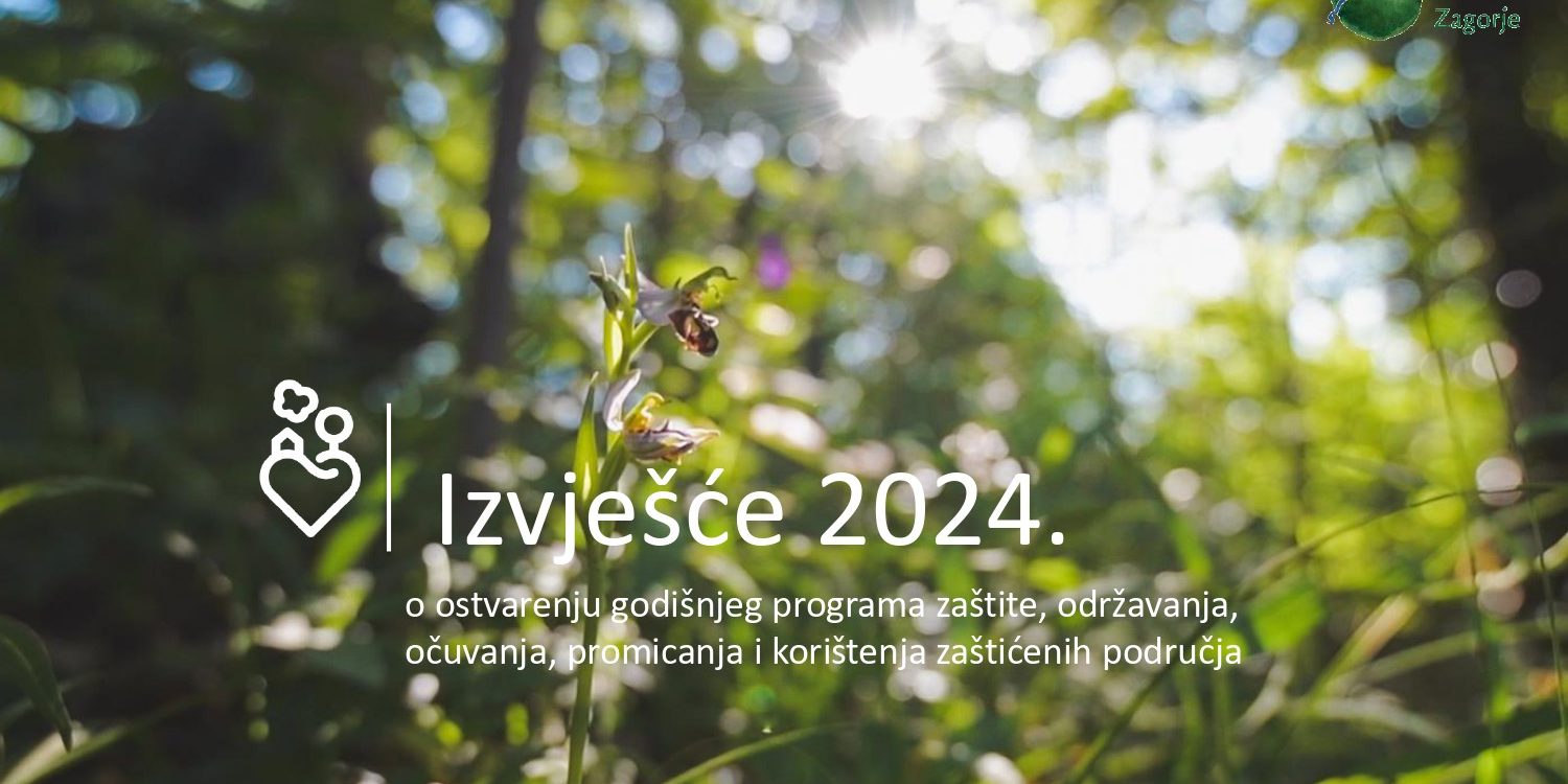 Izvješće 2024 JUZZ_pages-to-jpg-0001