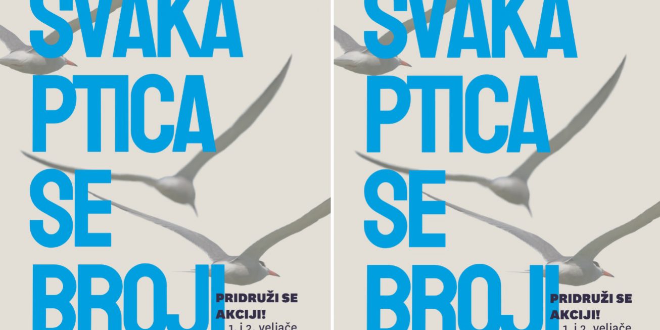 svaka ptica se broji