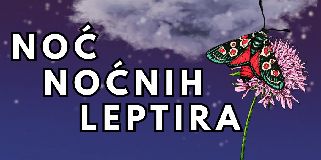 NOĆ NOĆNIH LEPTIRA (2)