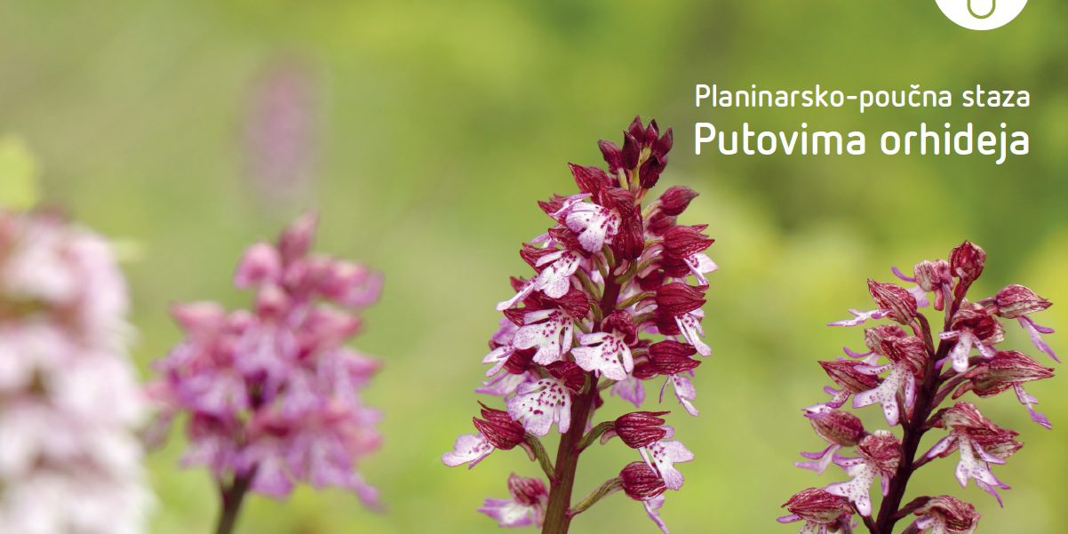 naslovna putovima orhideja hrv